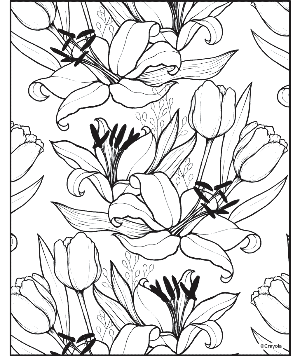 Flores de lirio y tulipán