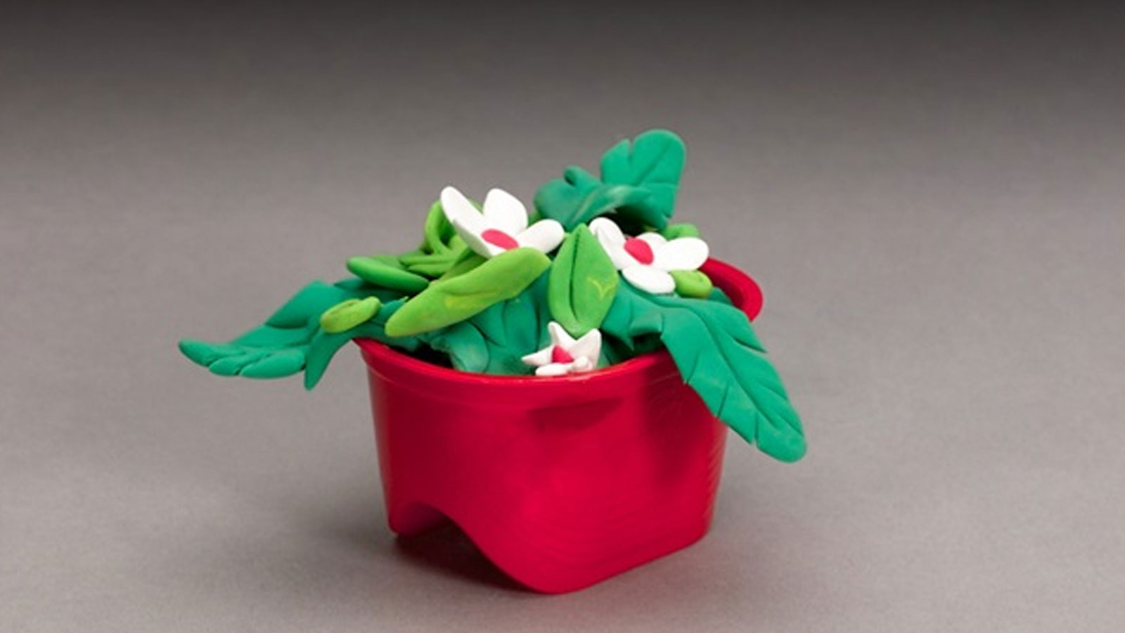 Bonitas flores de verano