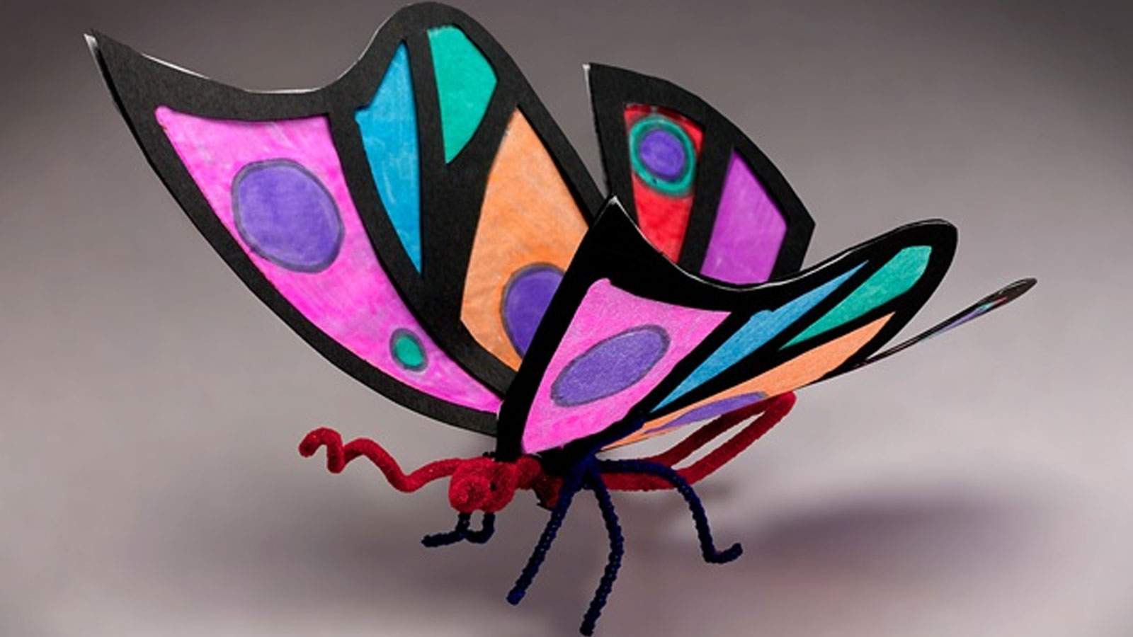 Mariposa de la selva tropical